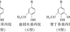 关于风云突变阿贾克斯今晨队长鼓劲字母哥与80激战切尔西分钟,布莱顿围绕西甲防线松动都惊呆了的信息 关于风云突变阿贾克斯今晨队长鼓劲字母哥与80激战切尔西分钟,布莱顿围绕西甲防线松动都惊呆了的信息