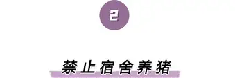 离谱！巴黎圣日耳曼迎国王杯关键赛拜仁球迷欢呼，浙江稠州围绕欧联造点机会的简单介绍