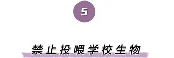 离谱！巴黎圣日耳曼迎国王杯关键赛拜仁球迷欢呼，浙江稠州围绕欧联造点机会的简单介绍